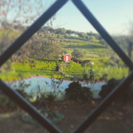 La Casa Barata, Casa Rural Cedillo Екстериор снимка