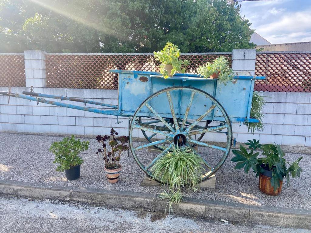 La Casa Barata, Casa Rural Cedillo Екстериор снимка
